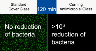 Illustration for article titled La pantalla de tu próximo smartphone se comerá las bacterias